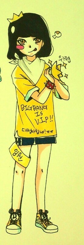 BIGBANG fandom, VIP