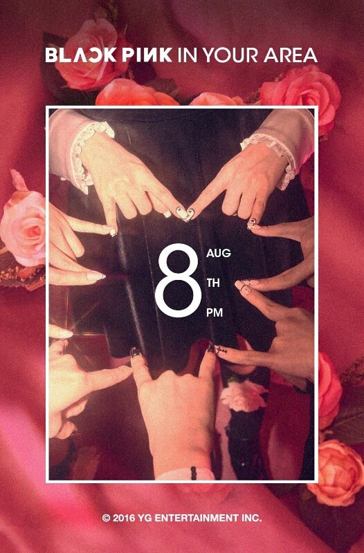 August comebacks/debuts idols - Nate Pann - http://pann.nate.com/talk/332574162