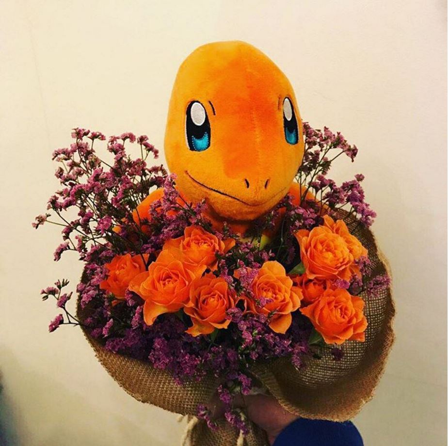 15306772_1813134615630997_5621621584939712512_n