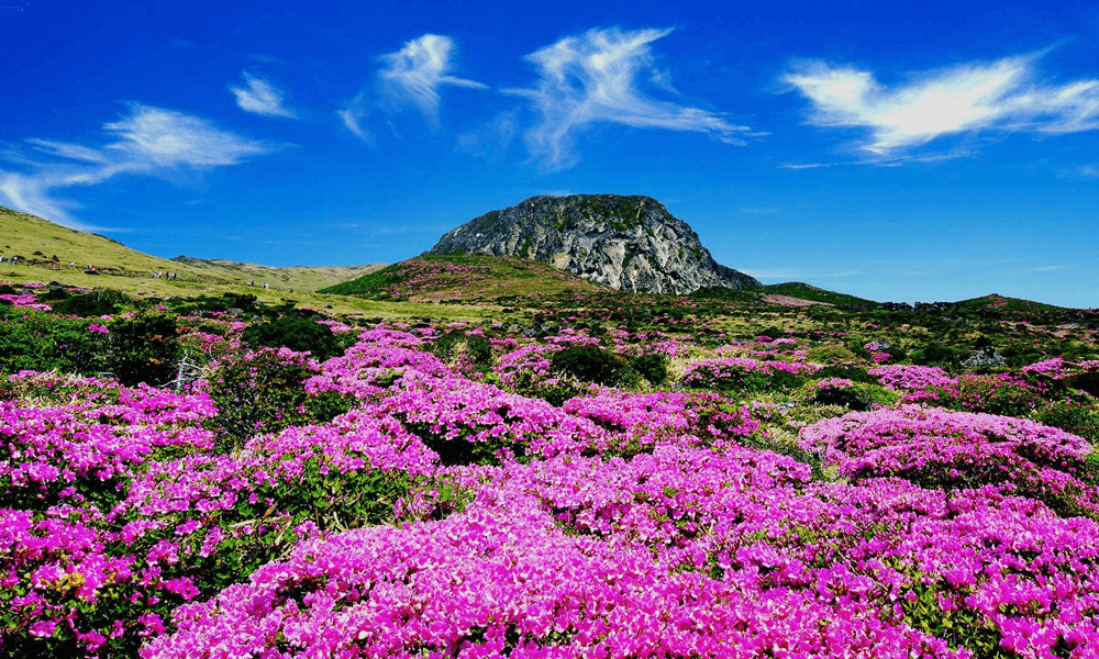 jeju island