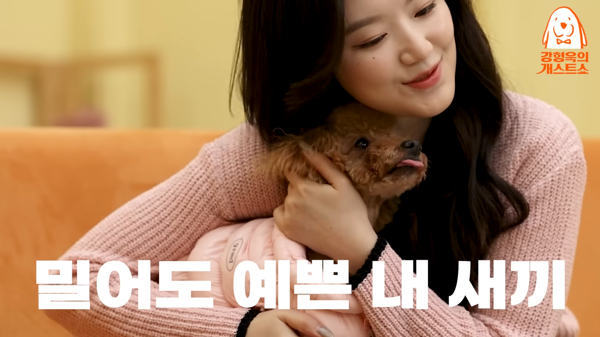 Hyung-wook's 1st partnership proposal for (G)I-dle Shuhua [Kang Hyung Wook's Dog Guest Show] EP. 25 2-14 screenshot
