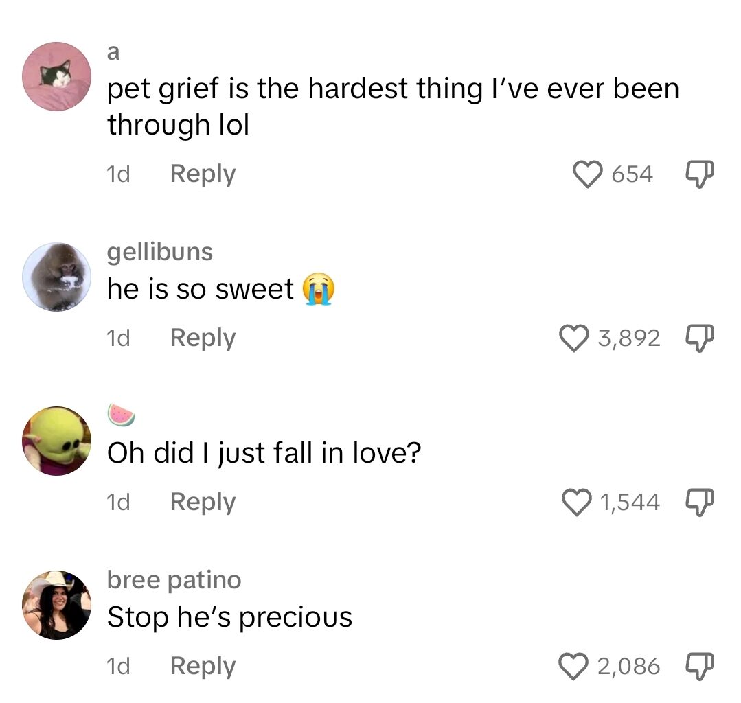 Screenshot_20240312_160406_TikTok