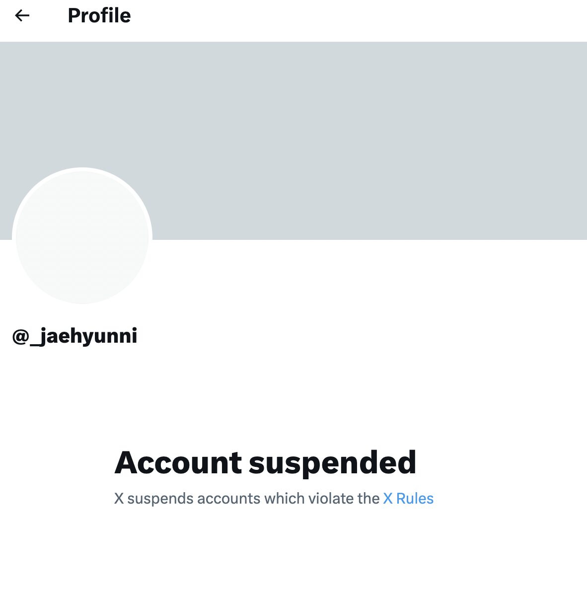 Screenshot 2024-06-11 at 4.54.19 AM