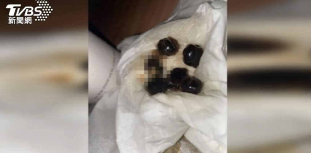 Controversy Erupts After Customer Finds Cockroach In Their Bubble Tea ...