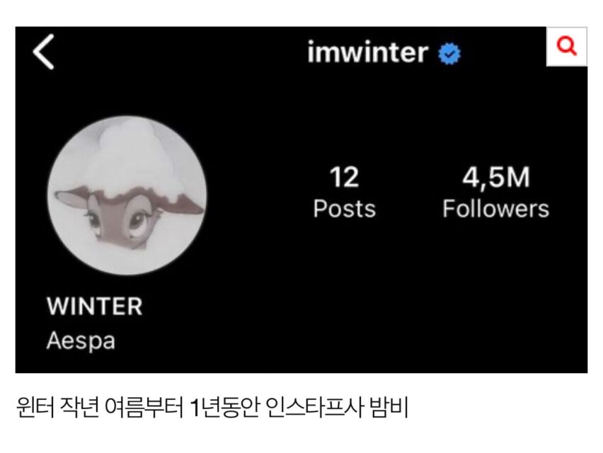 winter inst pfp