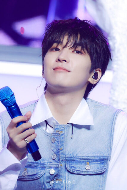 240616-SEVENTEEN-Wonwoo-2024-Weverse-Con-Festival-documents-5