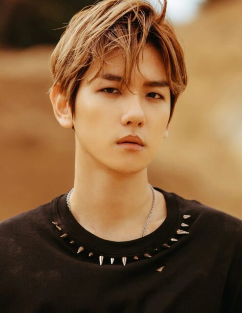 EXO Baekhyun’s Diet “Advice” Sparks Mixed Reactions