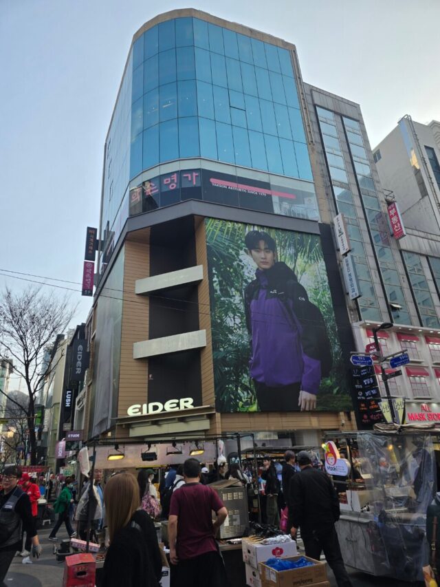 kim soo hyun eider