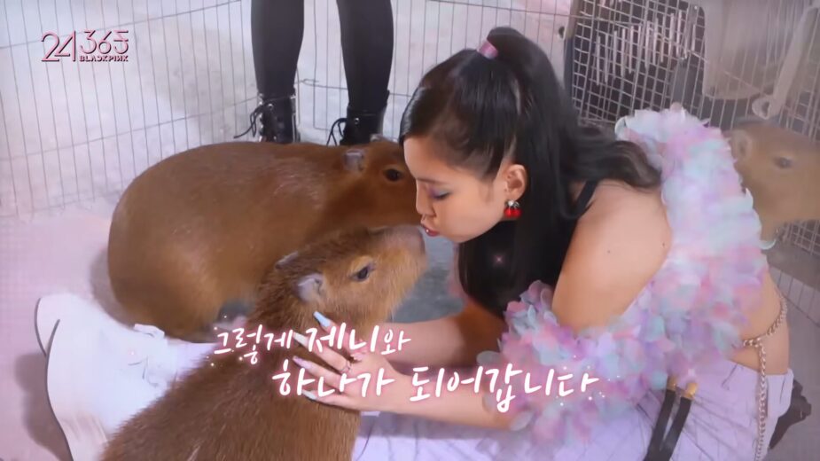 like jennie capybara 7