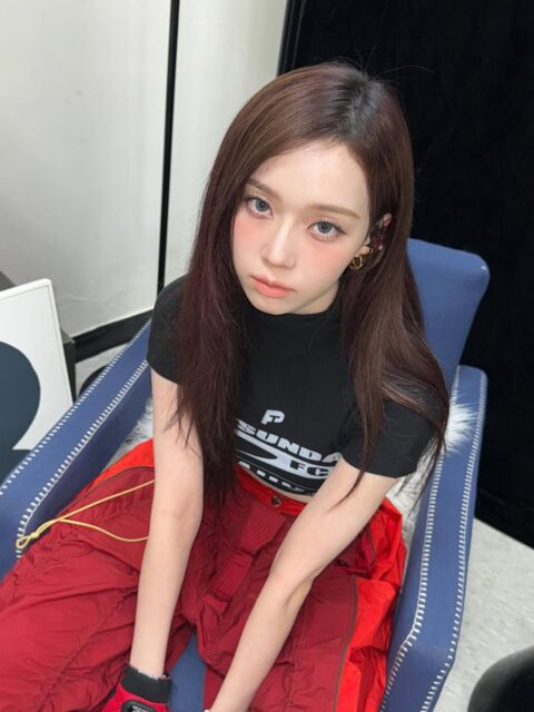 snapins-ai_3619128682927337071