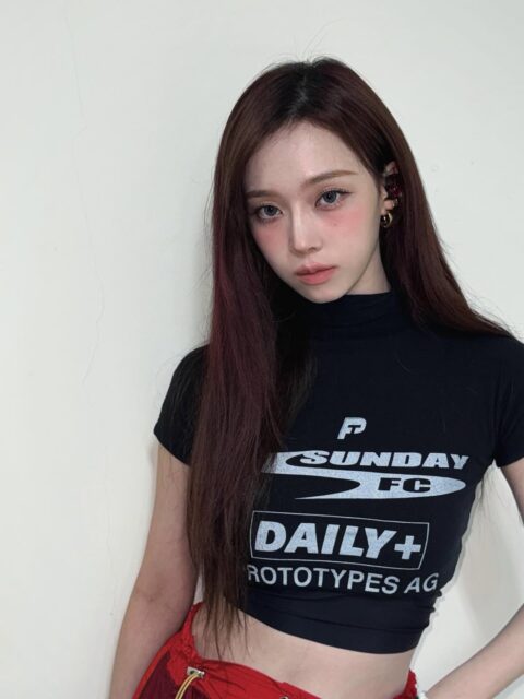 snapins-ai_3619128682935640352