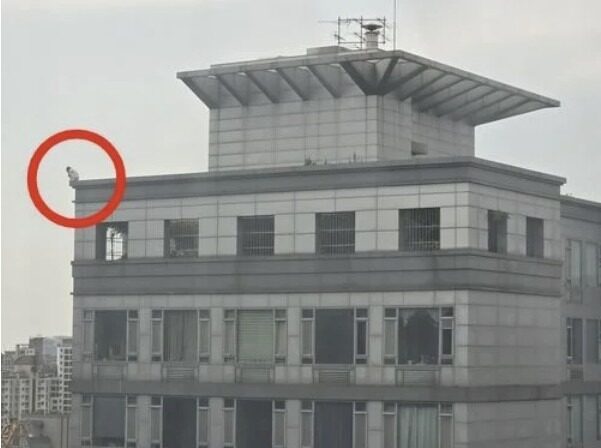 download - 2025-05-03T135914.692