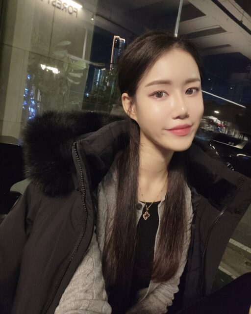 snapins-ai_3528603788458236673