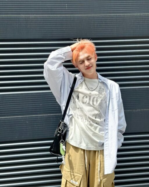 숨은 고양이 찾기