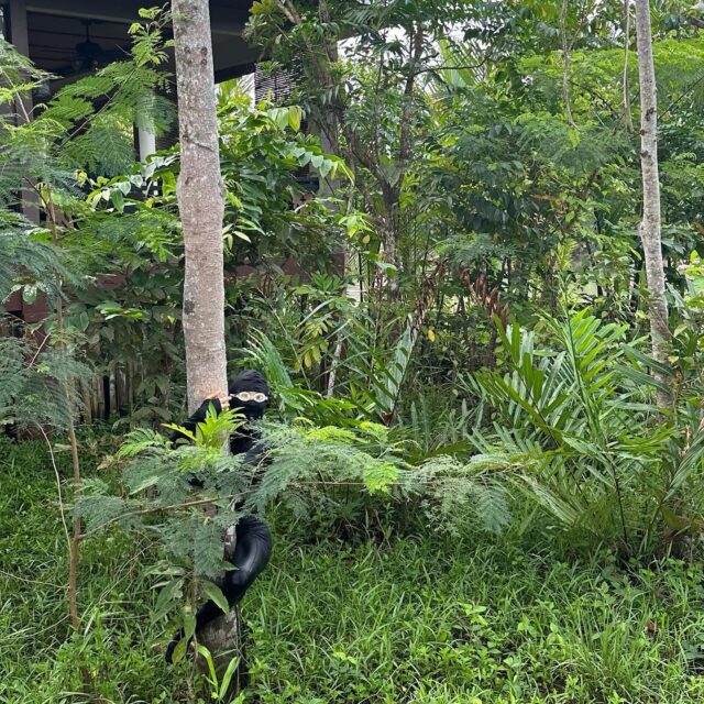 350669501_265501592639271_7362140035980443414_n