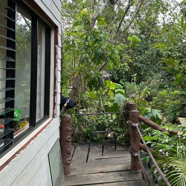 350973807_203527462624868_1352620924150858333_n