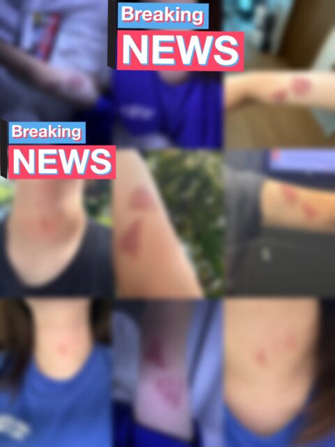 GtGFE7RbwAIVeUH-480x640