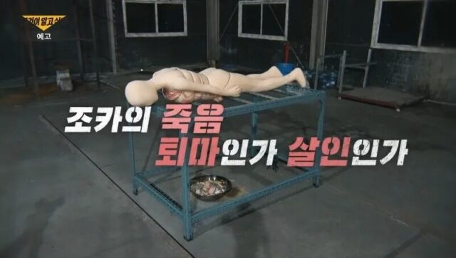 download - 2025-06-29T033548.871