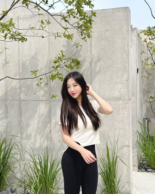 snapins-ai_3179874857243266835