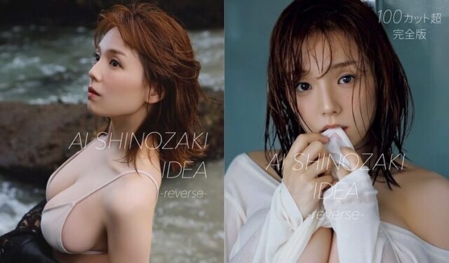 snapins-ai_3471443731189172068