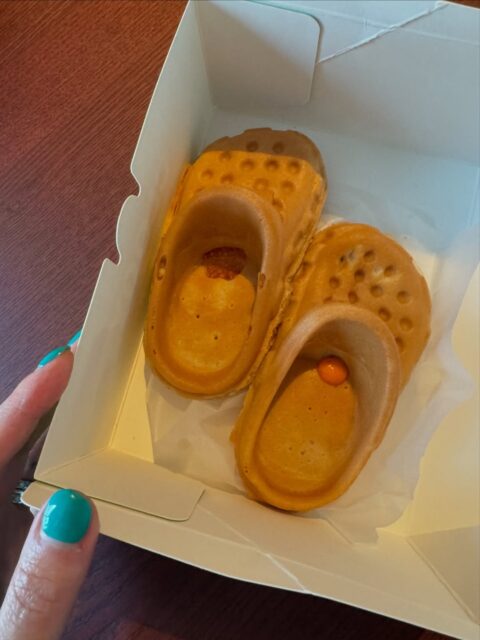 515108148_18516740251022742_1069876969037808328_n