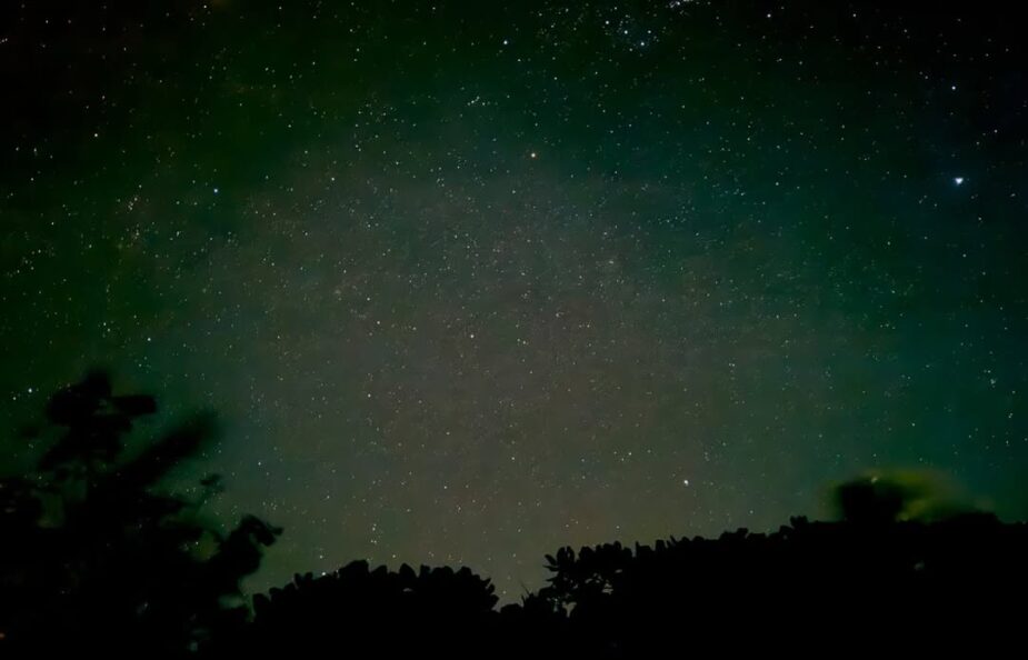 snapins-ai_3547998944638754166