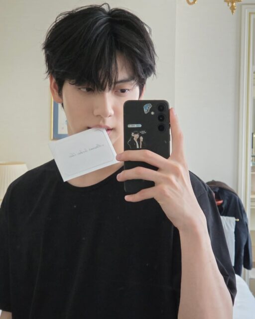 snapins-ai_3664376741306880560