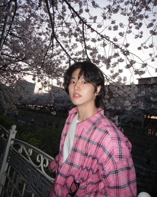 마지막 벚꽃 🌸