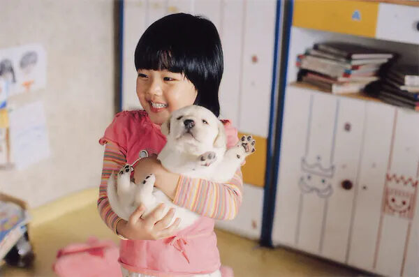 MV5BNmM5NTdlOTEtYWJlZi00OTk3LTkzOWUtYjk5NmE4ODFhZjkxXkEyXkFqcGc@._V1_