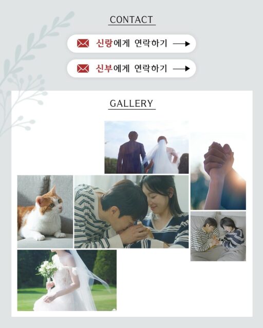 StorySaver.to_528687455_17861849604448788_805656103202186565_n