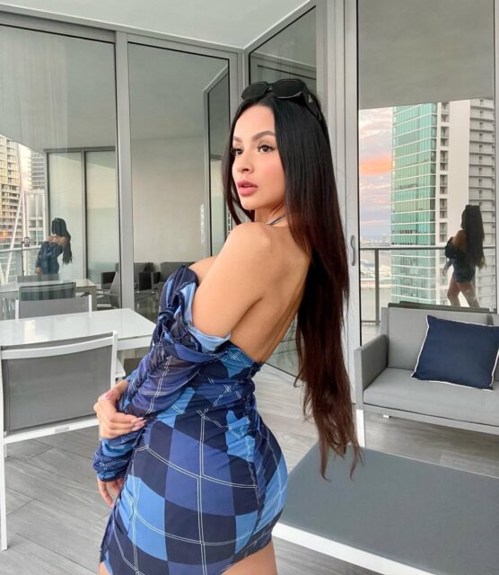 snapins-ai_2941139795359673466