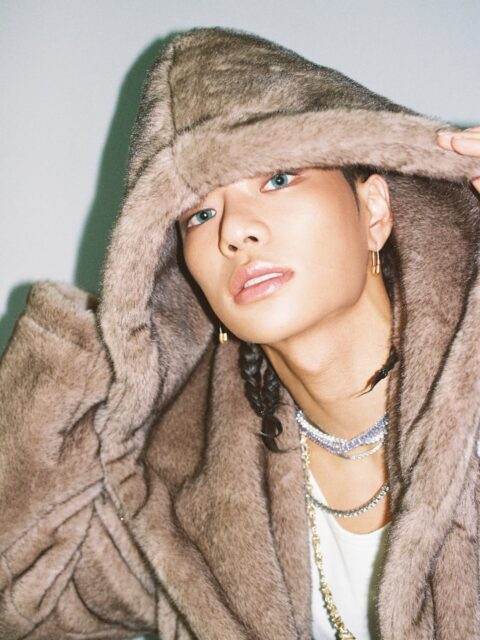 snapins-ai_3683650004668852258