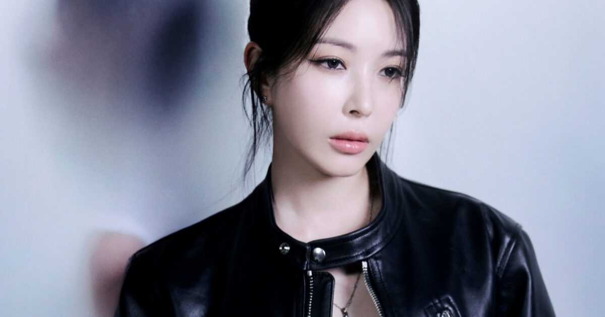 BoA Just Wanted To Connect With Fans — One Thought It Would Be Smart To Show Her P*rn