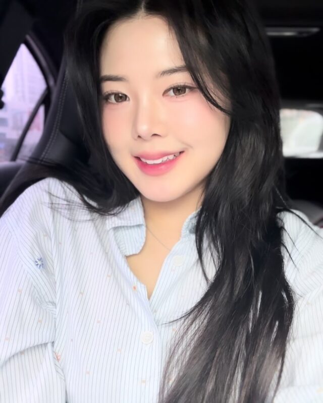 snapins-ai_3604435246294919643