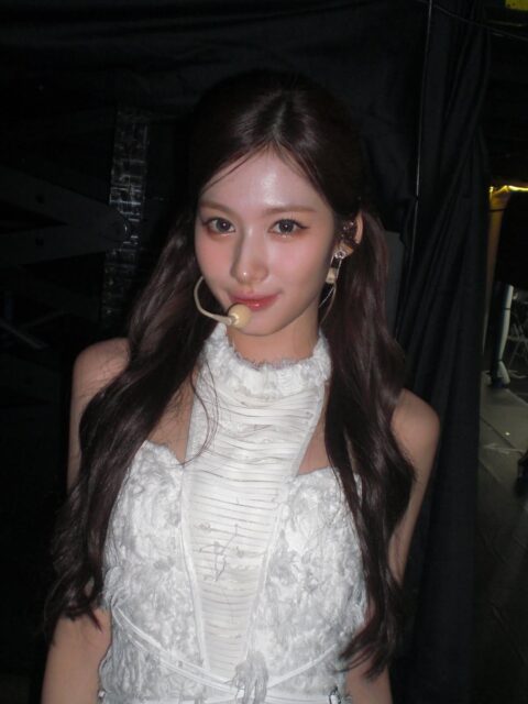 snapins-ai_3706257137121261935