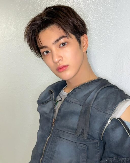 snapins-ai_3721499351366758184