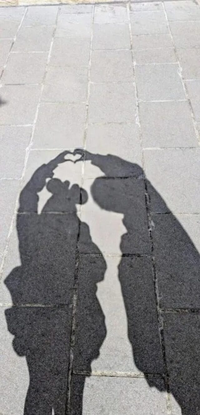 5cb3c841-6edd-40d1-a650-a825a8903f2c_51d2c55f