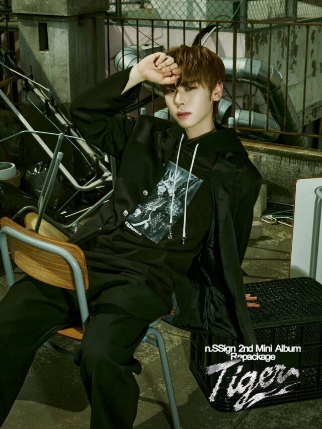 N.SSign_Eddie_Tiger_concept_photo_1