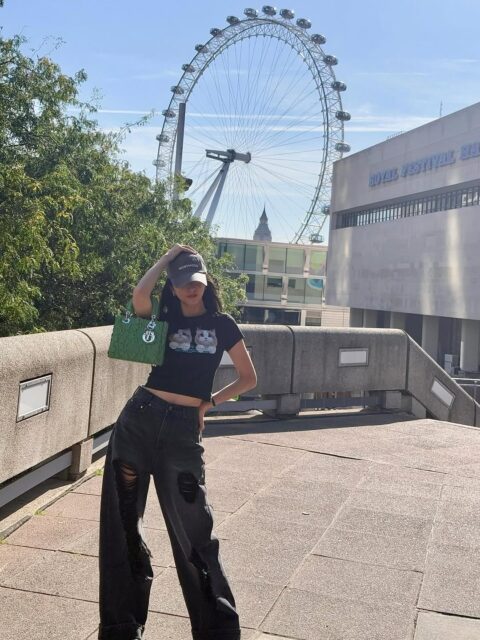 🌱☘️🍀☘️🌱