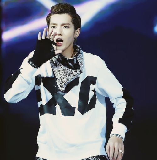 93cc14d11deed5461bf079d330106679