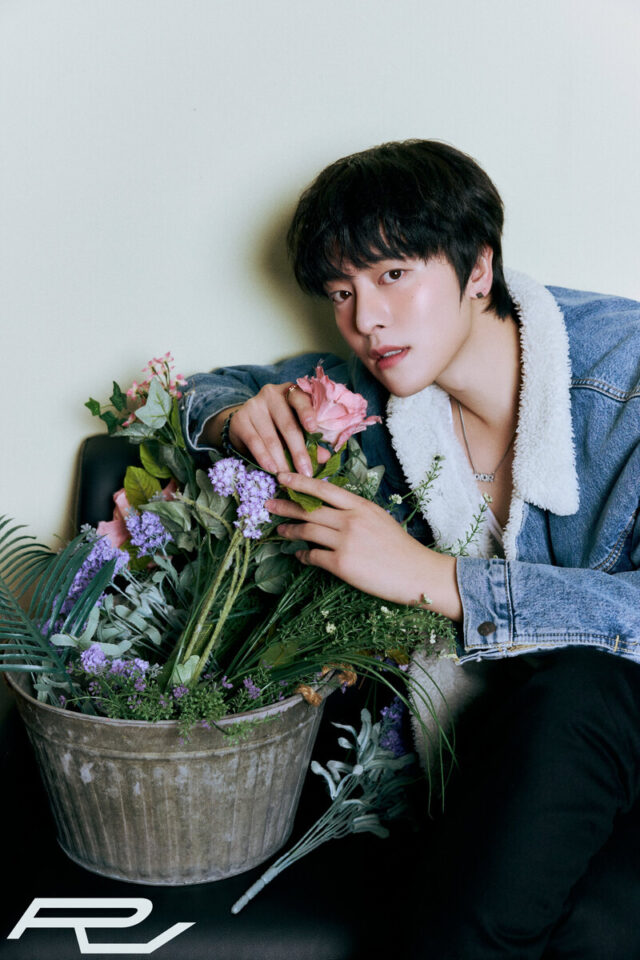 ラヴン-コメディ-コンセプト-写真-ドキュメント-3