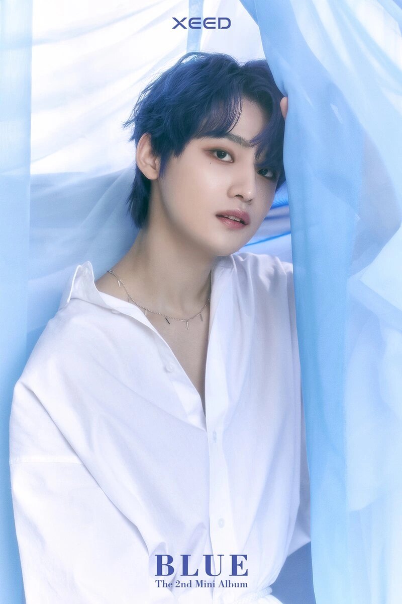 XEED_Bao_Blue_concept_photo_1