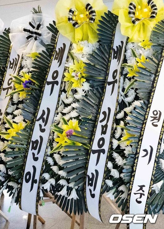 download - 2025-11-25T232733.622