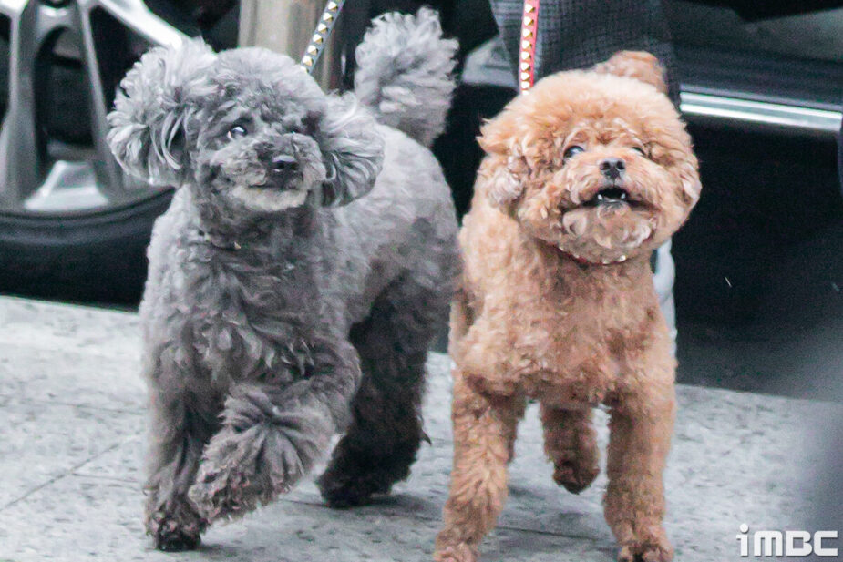 42cc745a-c300-49ae-bec6-554d48d4445a