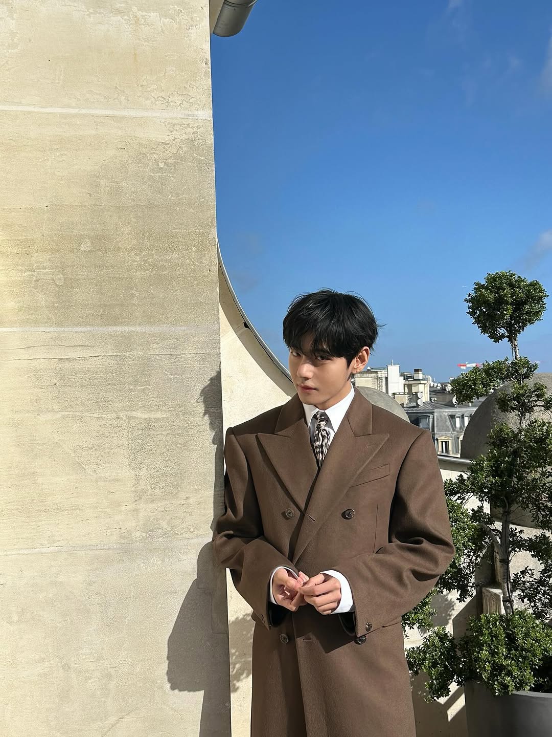 BTS's V