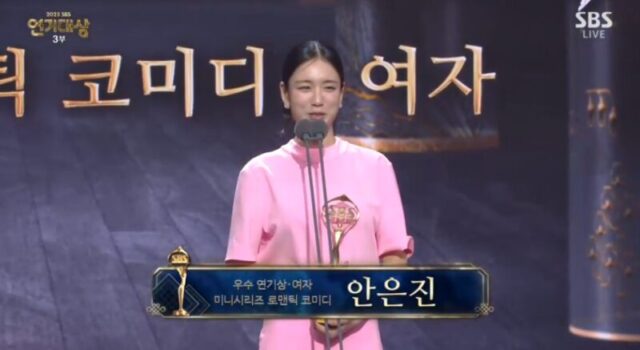 sbs - excellent actor - ahn eun jin