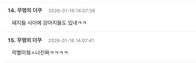 스크린샷 2026-01-16 오후 3.31.06