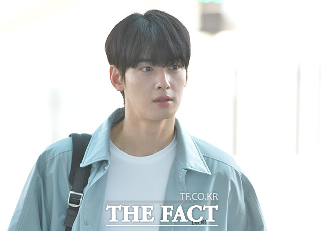 20262926176915808900