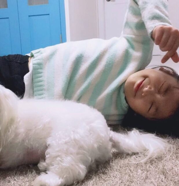 download - 2026-01-20T172403.268