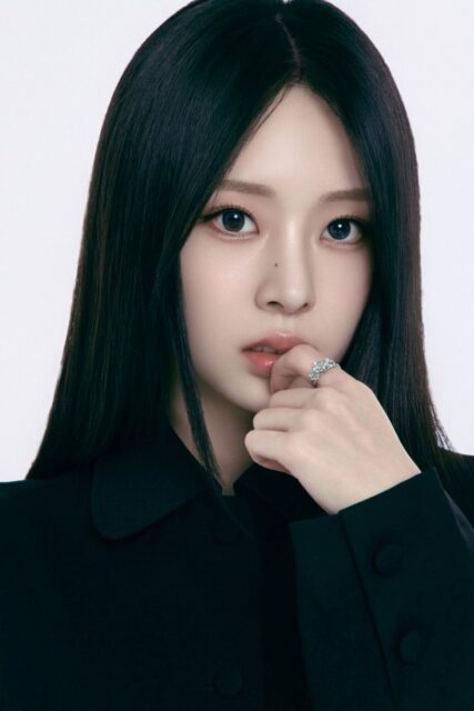 download - 2026-01-31T034040.741